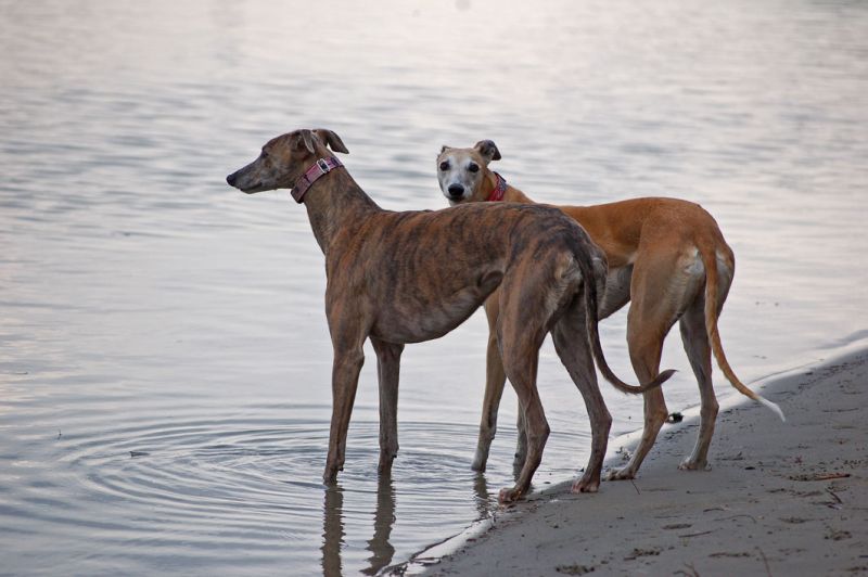 files/_uploads/2012_17_46_anderDonau/ChoiAnnieStand3.jpg