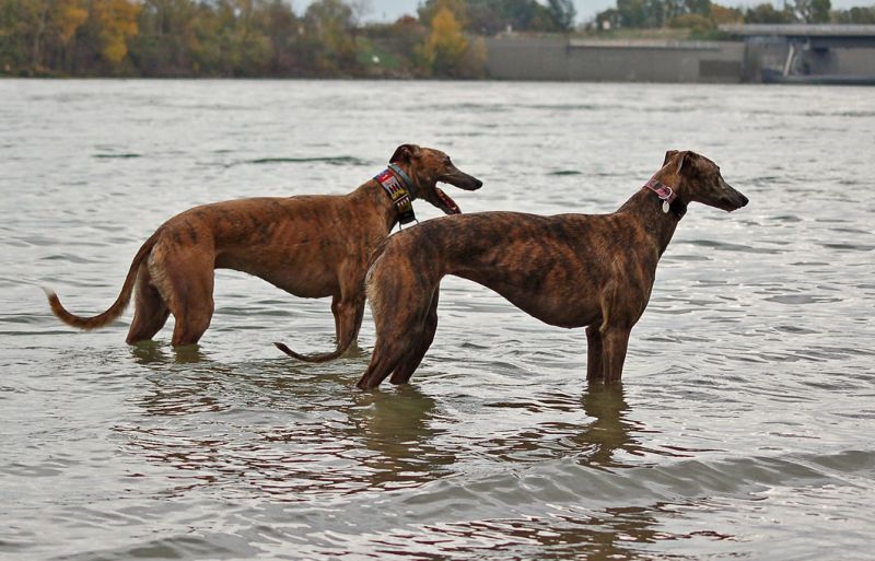 files/_uploads/2012_17_46_anderDonau/TouchieAnnieStand1.jpg