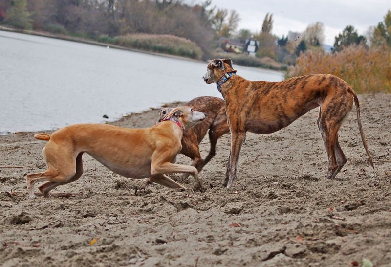 files/_uploads/2012_17_46_anderDonau/WallyChoiAnnie1.jpg