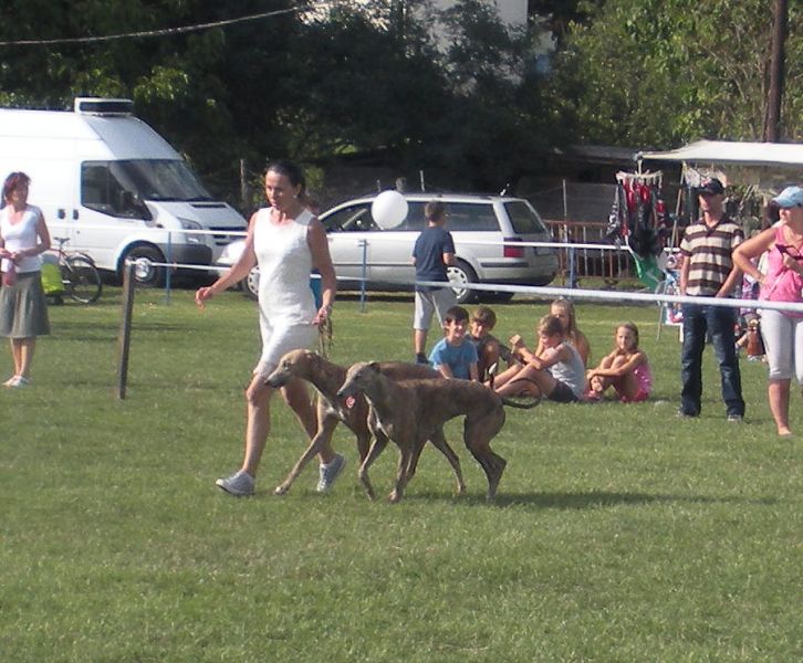 files/_uploads/2012_17_48_Rennen/Paarklasse3.jpg