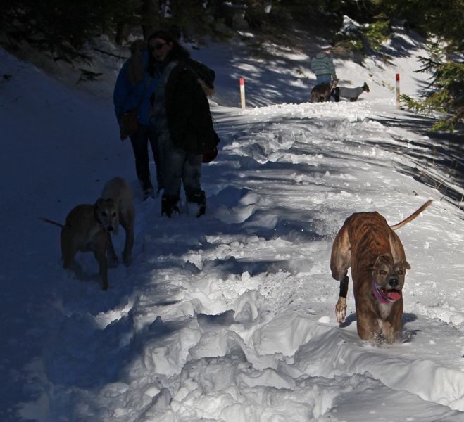 files/_uploads/2012_17_SilvesterWaxriegelhaus/AlleundAnnie4.jpg