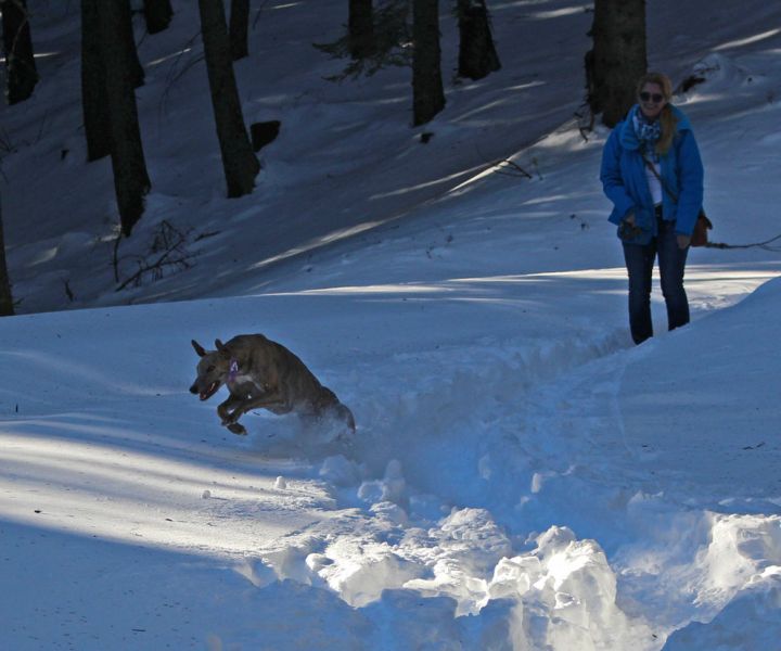 files/_uploads/2012_17_SilvesterWaxriegelhaus/AnnieNina1.jpg