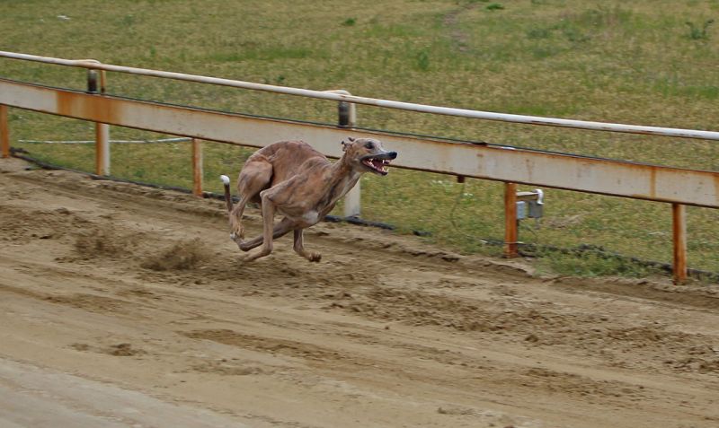 files/_uploads/2012_17_dieerstenRennen/Touchie1b.jpg