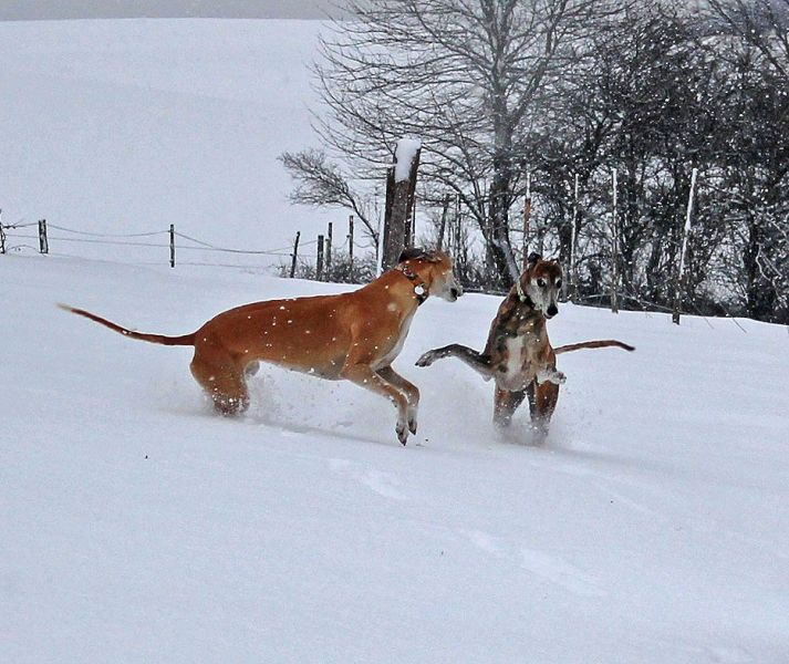 files/_uploads/2012_17_endlichWinter/WallyChoice1.jpg
