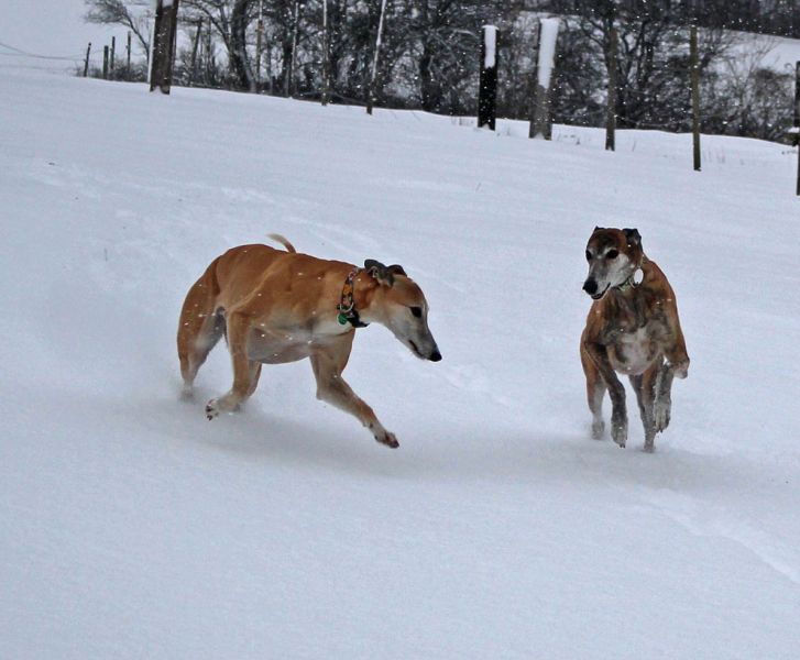 files/_uploads/2012_17_endlichWinter/WallyChoice3.jpg