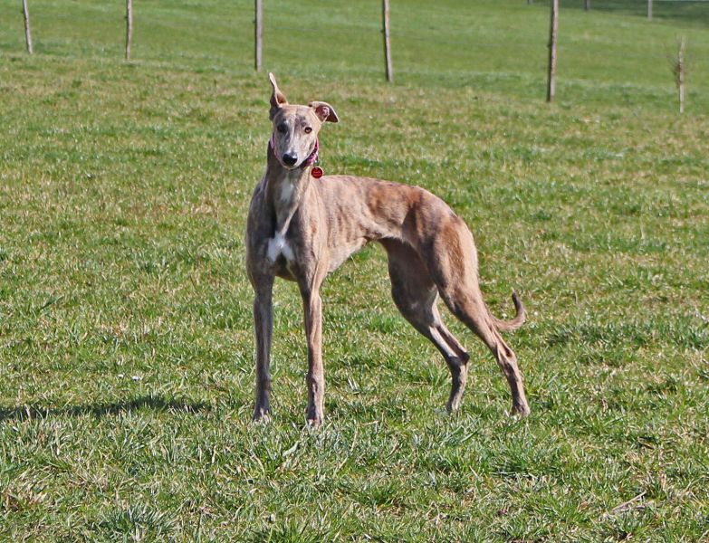 files/_uploads/2013_16_FebruarNachtrag/Anniefast9Mo.jpg