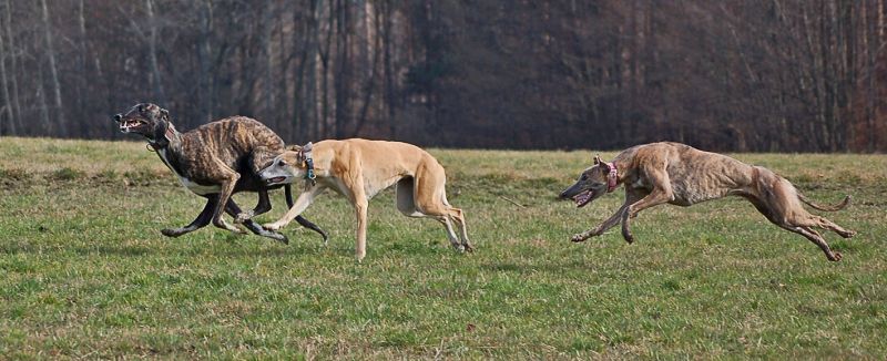 files/_uploads/2013_16_FebruarNachtrag/alle3_2.jpg