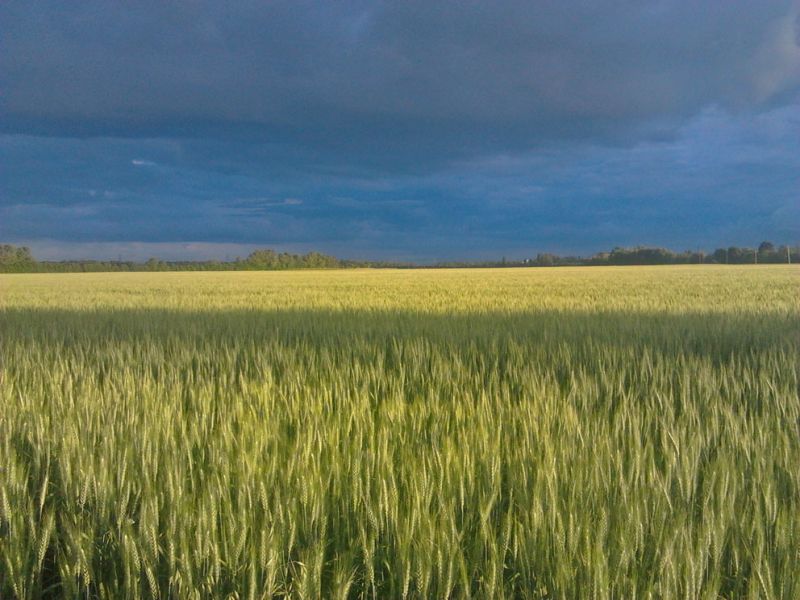 files/_uploads/2013_16_Lebenszeichen/GudfStimmung1.jpg