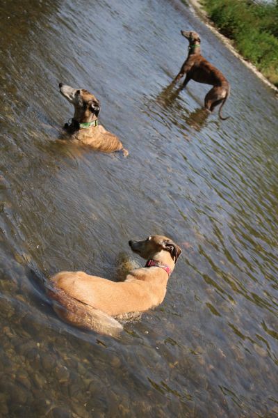 files/_uploads/2013_16_Lebenszeichen/Wasser1.jpg