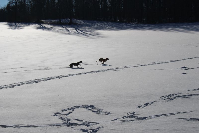 files/_uploads/2013_16_Schneevongestern Teil3/AnnieZaubStimmung1.jpg