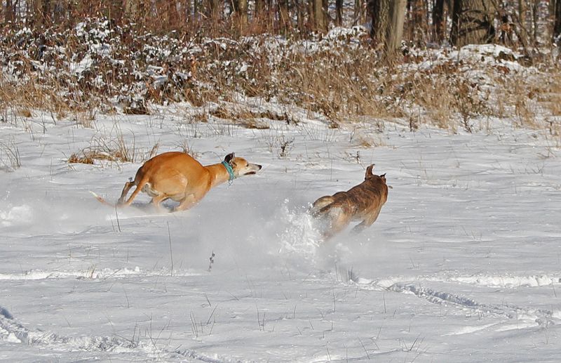 files/_uploads/2013_16_Schneevongestern Teil3/ChoiAnnie3.jpg