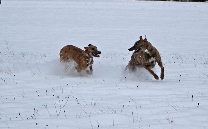 files/_uploads/2013_16_Schneevongestern/AnnieAllInklusive11.jpg
