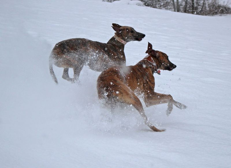 files/_uploads/2013_16_Schneevongestern/AnnieAllInklusive5.jpg
