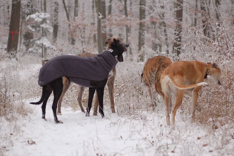 files/_uploads/2013_16_Schneevongestern/Stimmung4_1.jpg