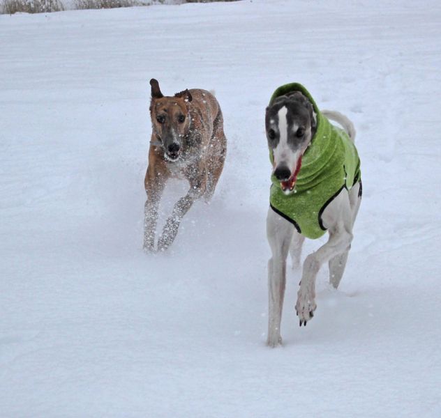 files/_uploads/2013_16_Schneevongestern/VulcanicAllInkl1.jpg