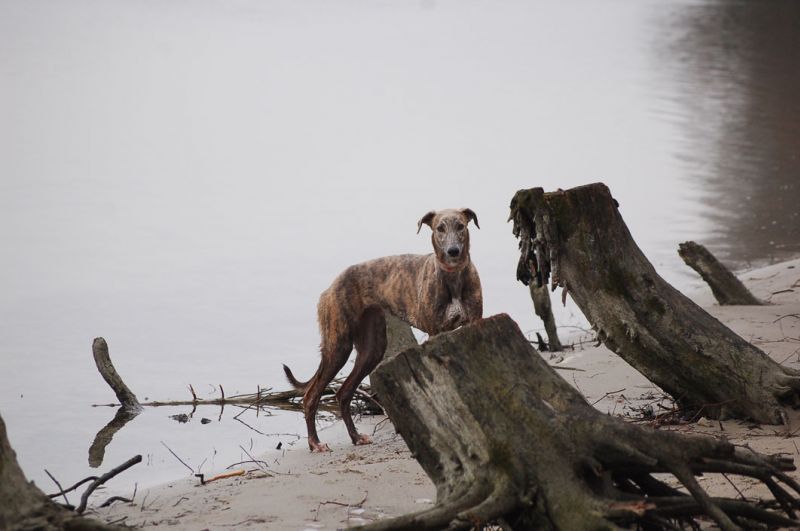 files/_uploads/2013_16_wiederanderDonau/AnnieStimmung.jpg