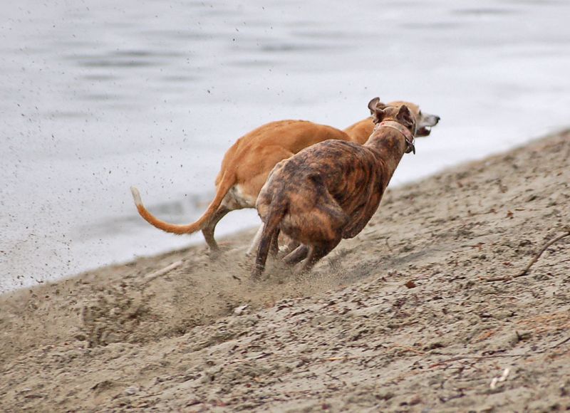 files/_uploads/2013_16_wiederanderDonau/ChoiAnnie9.jpg
