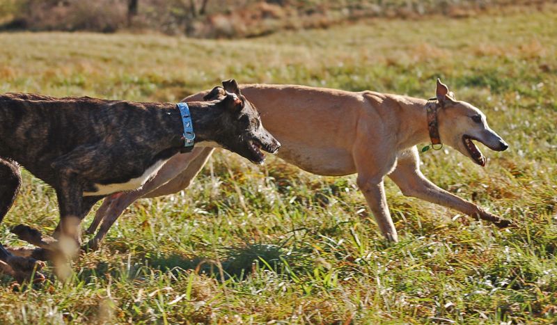 files/_uploads/2014_Dezembernochwarm/beideRun7 - Kopie.jpg