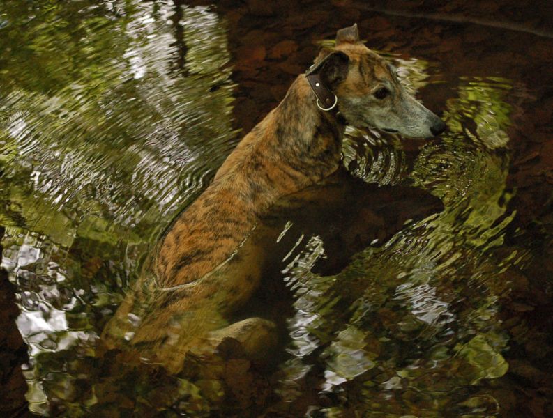 files/_uploads/2014_FruehlingohneEnde/WallWasser.jpg