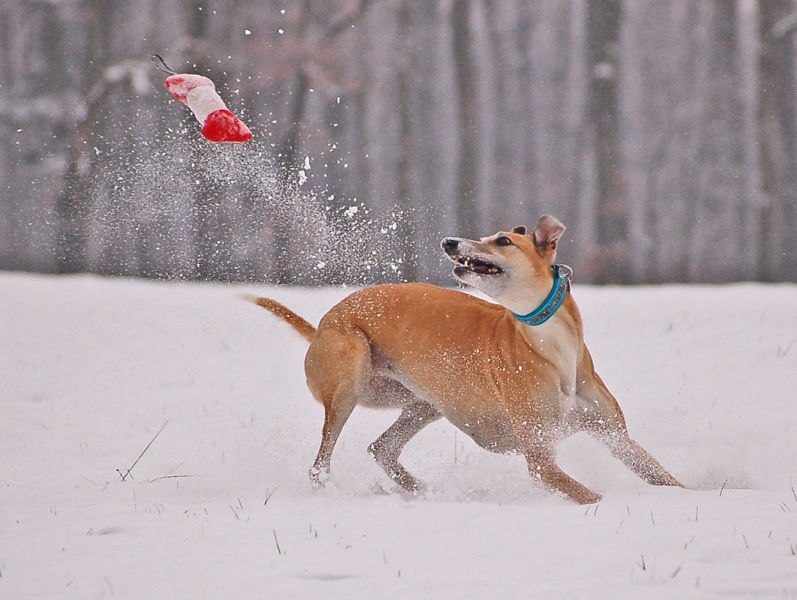 files/_uploads/2014_ein bisschen Schnee/Choi12.jpg