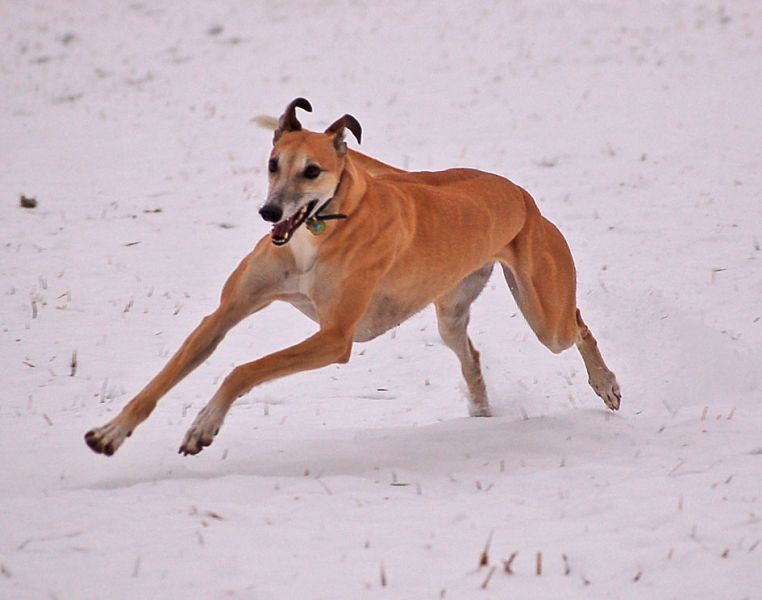 files/_uploads/2014_ein bisschen Schnee/Choice1.jpg