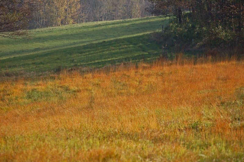 files/_uploads/2014_goldHerbstohneEnde/Herbst3 - Kopie.jpg