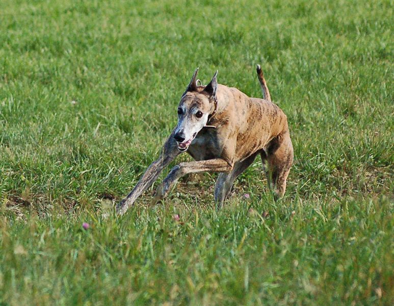 files/_uploads/2014_goldHerbstohneEnde/WallRun2 - Kopie.jpg