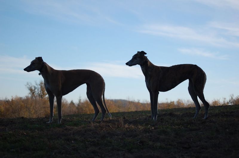 files/_uploads/2014_goldenerNovember/beideStandStimmung.jpg files/_uploads/2014_goldenerNovember/beideStandStimmung.jpg