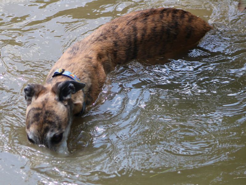 files/_uploads/2015_A_Woche4/WallWasser3.jpg