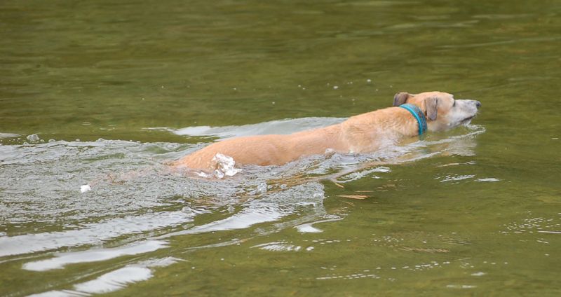 files/_uploads/2015_Lobau/ChoiWasser4.jpg