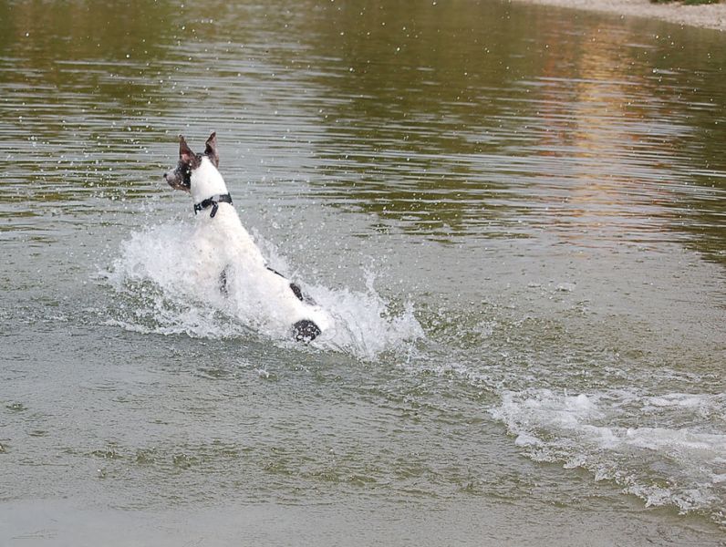 files/_uploads/2015_Lobau/VulcanicWasser4.jpg