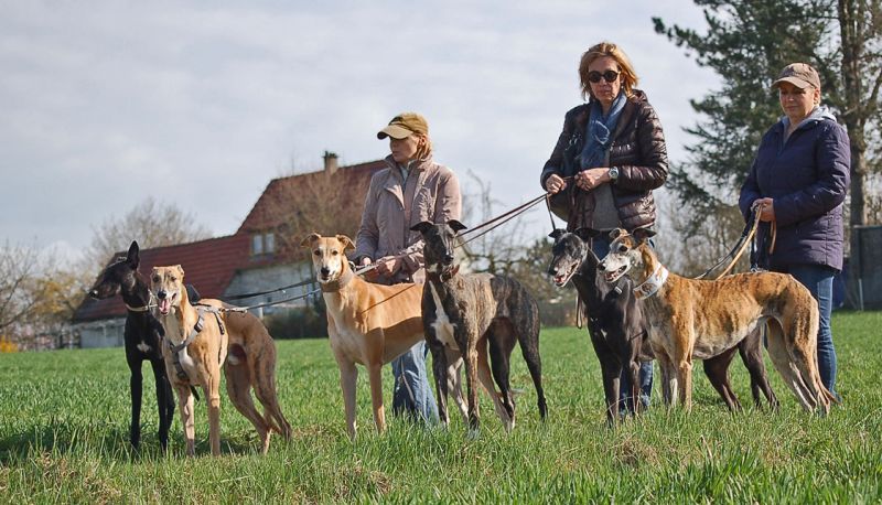 files/_uploads/2015_Sachsenheim+Prinz/SpaziergangmitallenWiese1.jpg