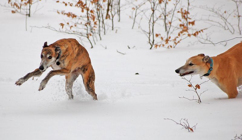 files/_uploads/2015_SchneeohneEnde/beide2.jpg