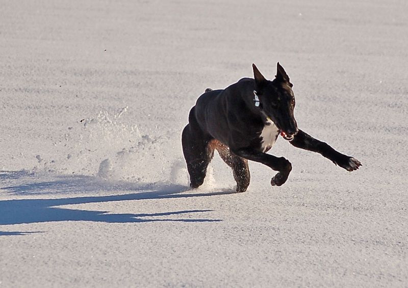 files/_uploads/2015_Winterwonderland_Teil2/Bubble3.jpg