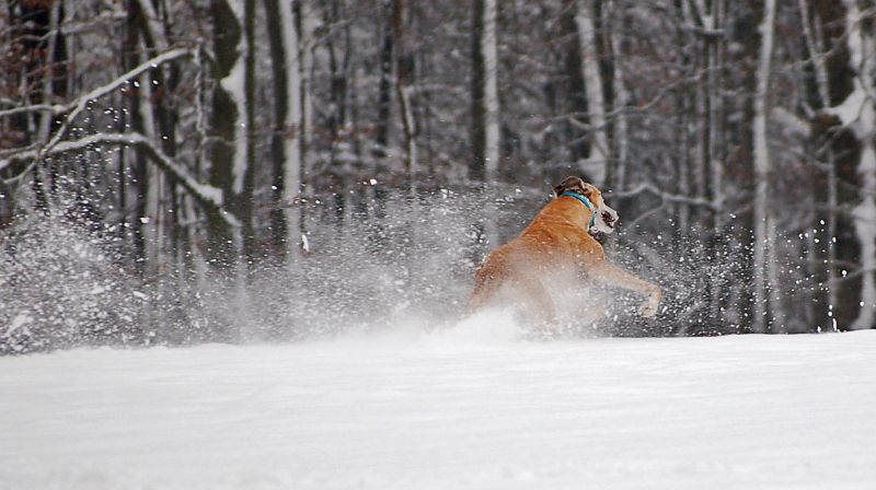 files/_uploads/2015_Winterwonderland_Teil2/ChoiLawine5.jpg