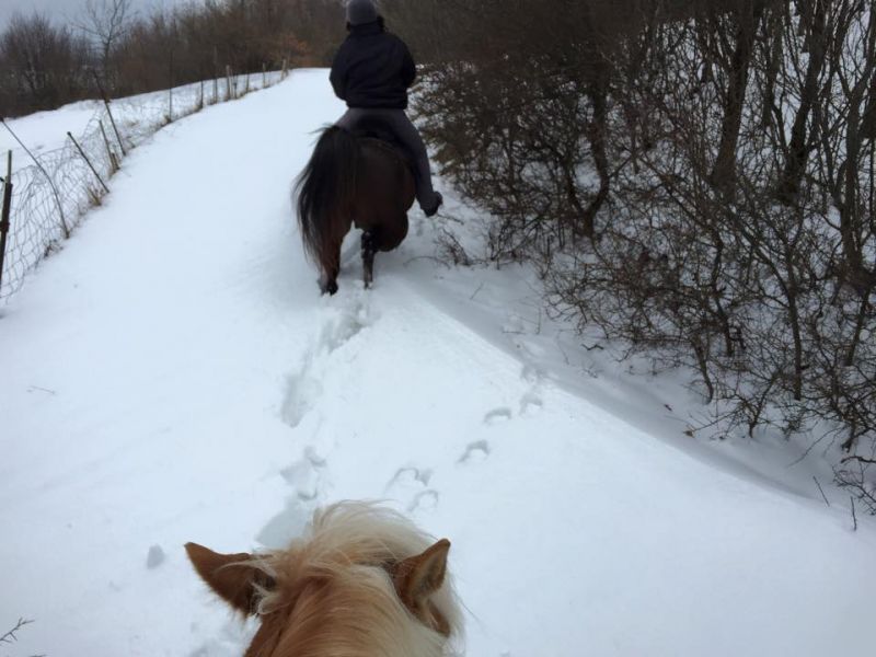files/_uploads/2015_vomletztenSchneezumFruehlingquerbeet/schnee1.jpg