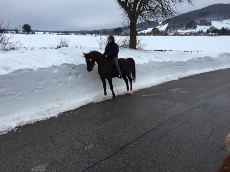files/_uploads/2015_vomletztenSchneezumFruehlingquerbeet/schnee2.jpg