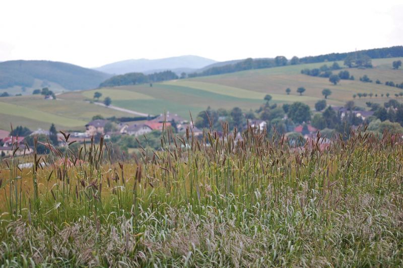 files/_uploads/Fruehsommer/Dornbach.jpg