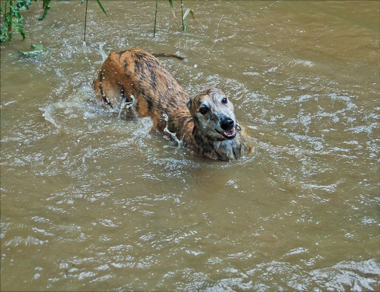 files/_uploads/Fruehsommer/WallWasserspass.jpg