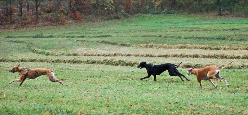 files/_uploads/GoeppingenmeetsWienerwald/3Buben1.jpg