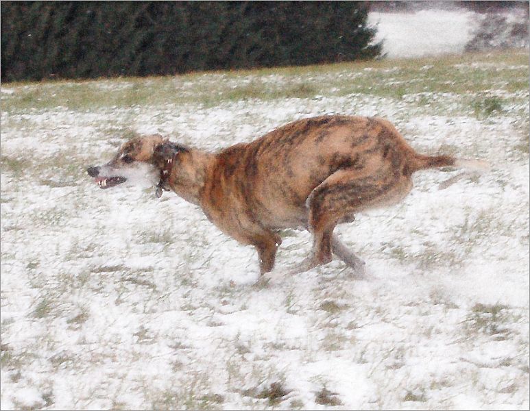 files/_uploads/SchneeDezember/Wallgrinst2.jpg