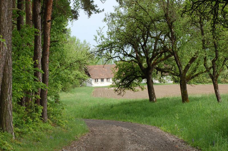 files/_uploads/SlowakischeMeisterschaft13/Landschaft1.jpg