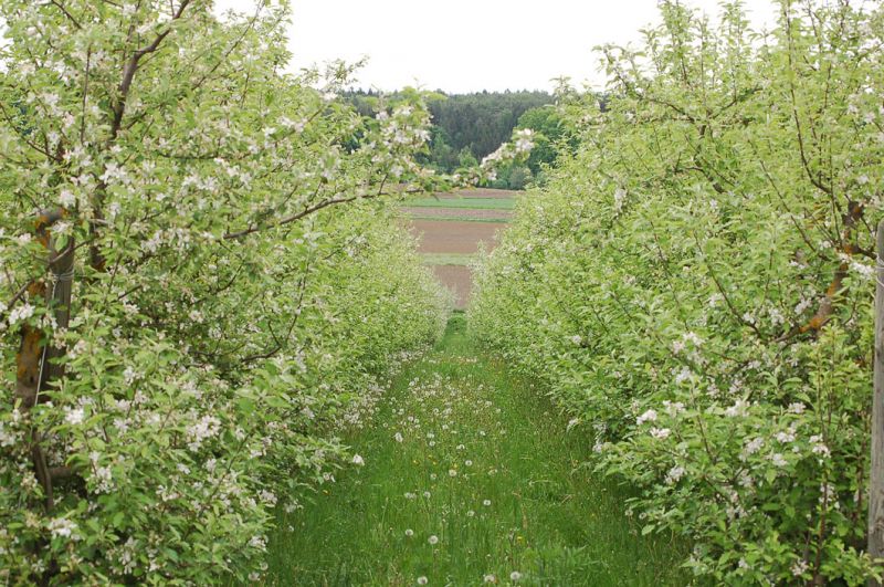 files/_uploads/SlowakischeMeisterschaft13/Landschaft3.jpg