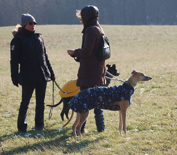 files/_uploads/Weihnachtsspaziergang12/ChoiJulieNasenimWind.jpg