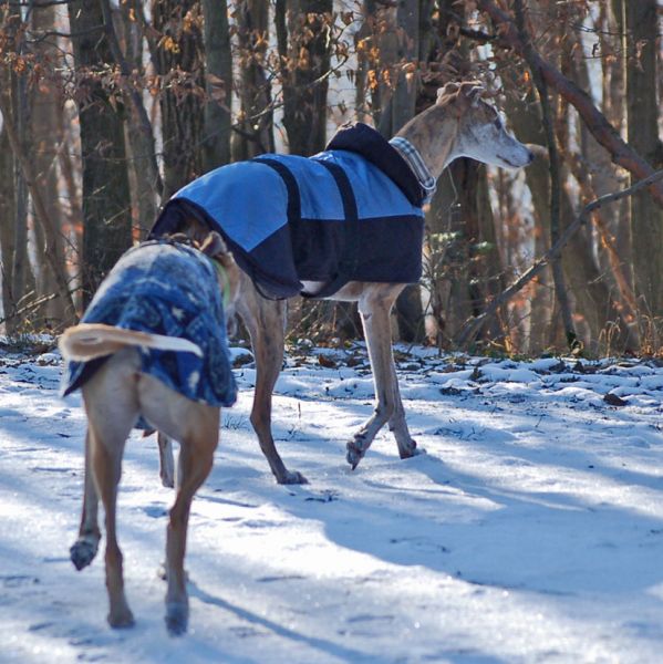 files/_uploads/Weihnachtsspaziergang12/GipsyChoi1.jpg