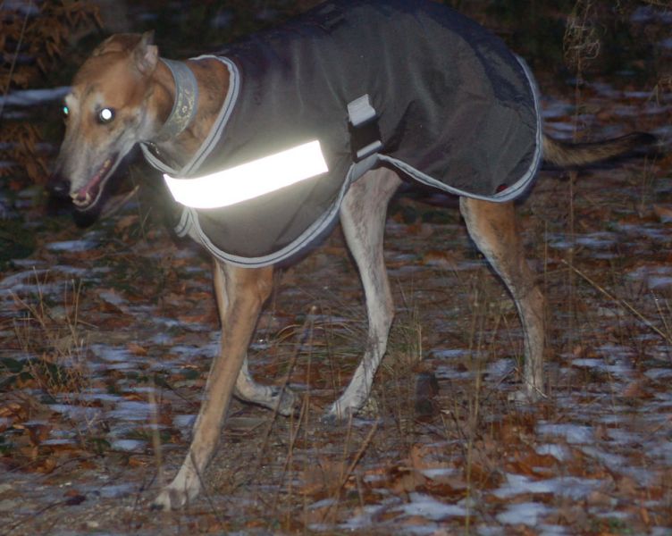 files/_uploads/Weihnachtsspaziergang12/Whiskey.jpg