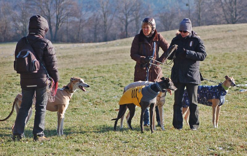 files/_uploads/Weihnachtsspaziergang12/einpaar1.jpg