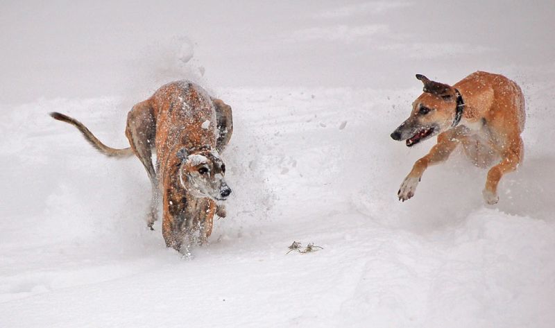 files/_uploads/Winterspass2/Beidespielen7.jpg