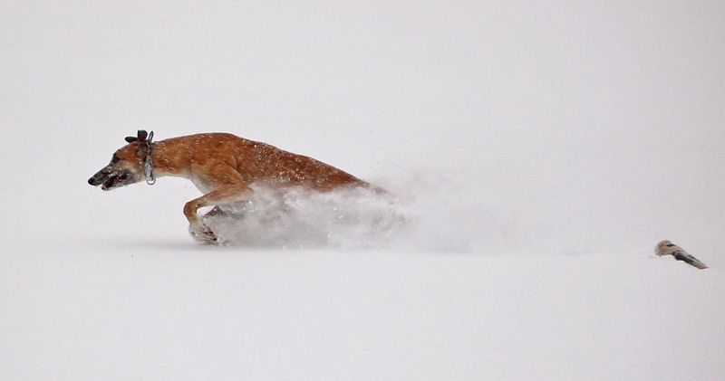 files/_uploads/Winterspass2/Choirun2.jpg