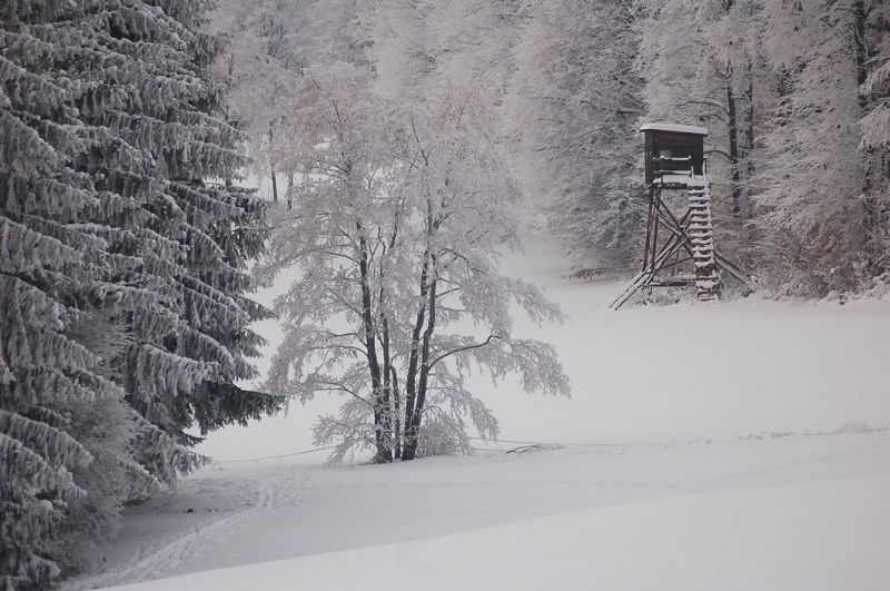 files/_uploads/Winterspass2/Landschaft3.jpg